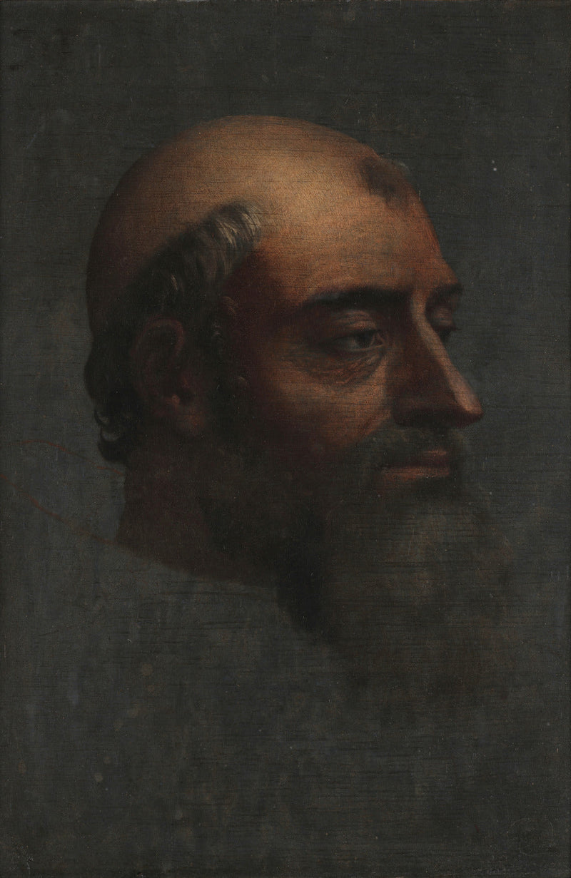 Ritratto di Clemente VII con barba - Sebastiano del Piombo
