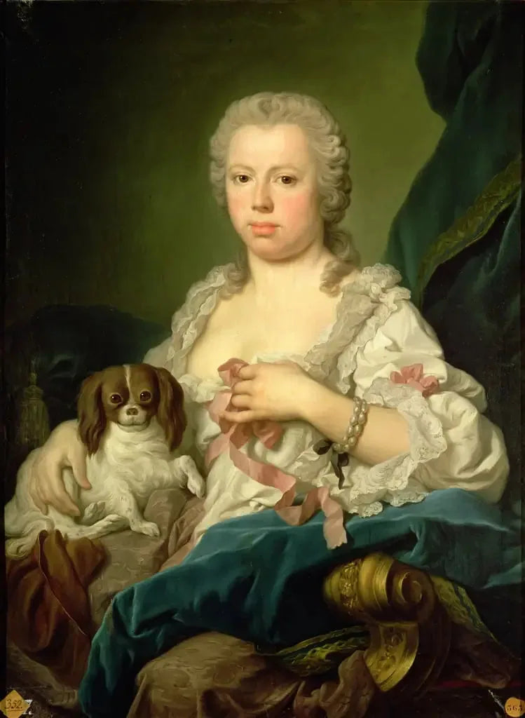 Ritratto di dama Anne Clifford, contessa Mahony - Pierre Subleyras