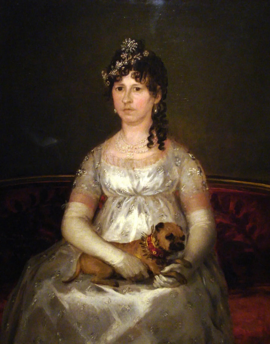 Ritratto di Francisca Vicenta Chollet e Caballero - Francisco de Goya