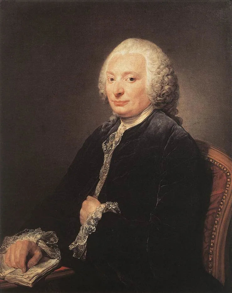 Ritratto di Georges Gougenot de Croissy - Jean-Baptiste Greuze