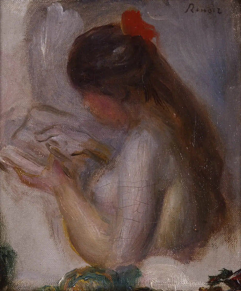 Ritratto di giovane ragazza che legge - Pierre-Auguste Renoir