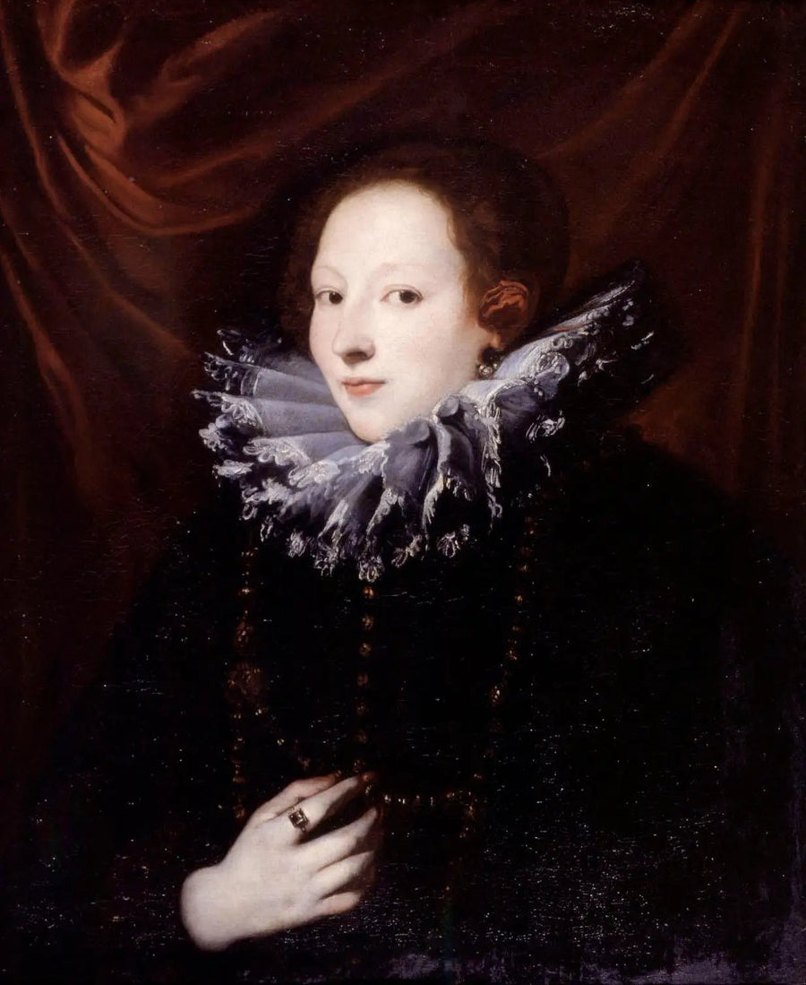 Ritratto della contessa Antonia Demarini (?-?), moglie di Francesco Lercari, doge di Genova - Antoine van Dyck