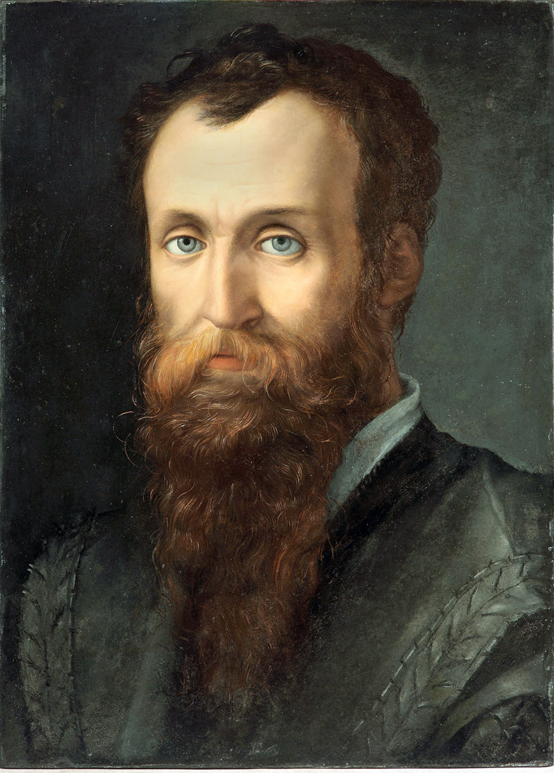 Ritratto di Luca Martini - Bronzino