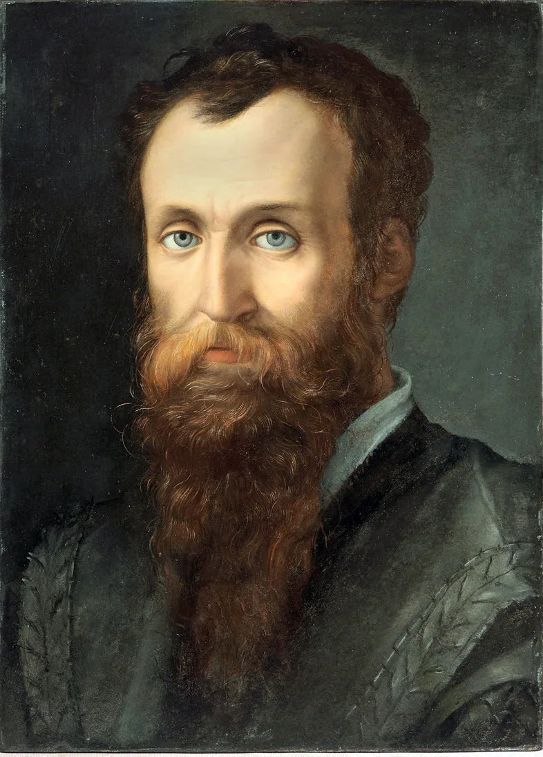 Ritratto di Luca Martini - Bronzino