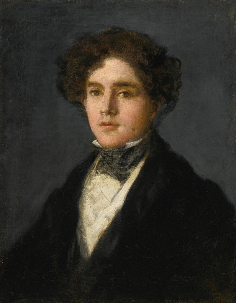 Ritratto di Mariano Goya, nipote dell'artista - Francisco de Goya