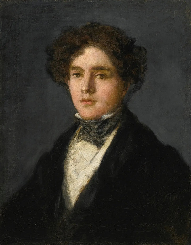 Ritratto di Mariano Goya, nipote dell'artista - Francisco de Goya