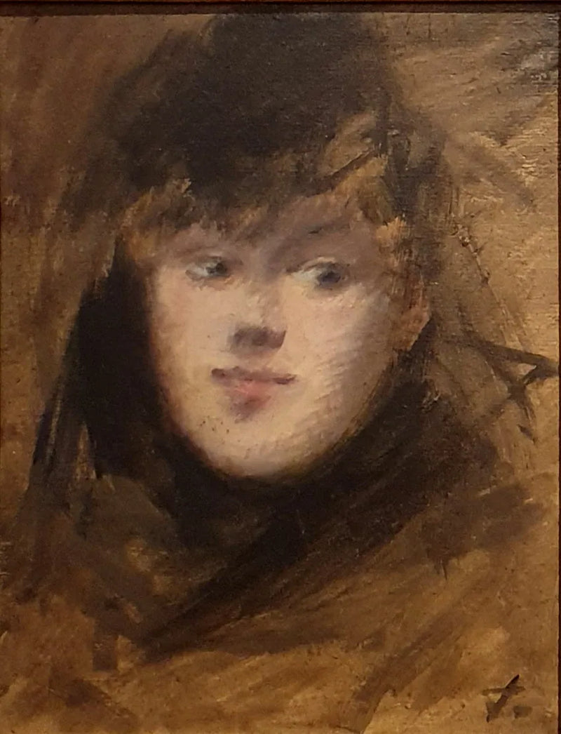 Ritratto della signora N - Jean-Louis Forain