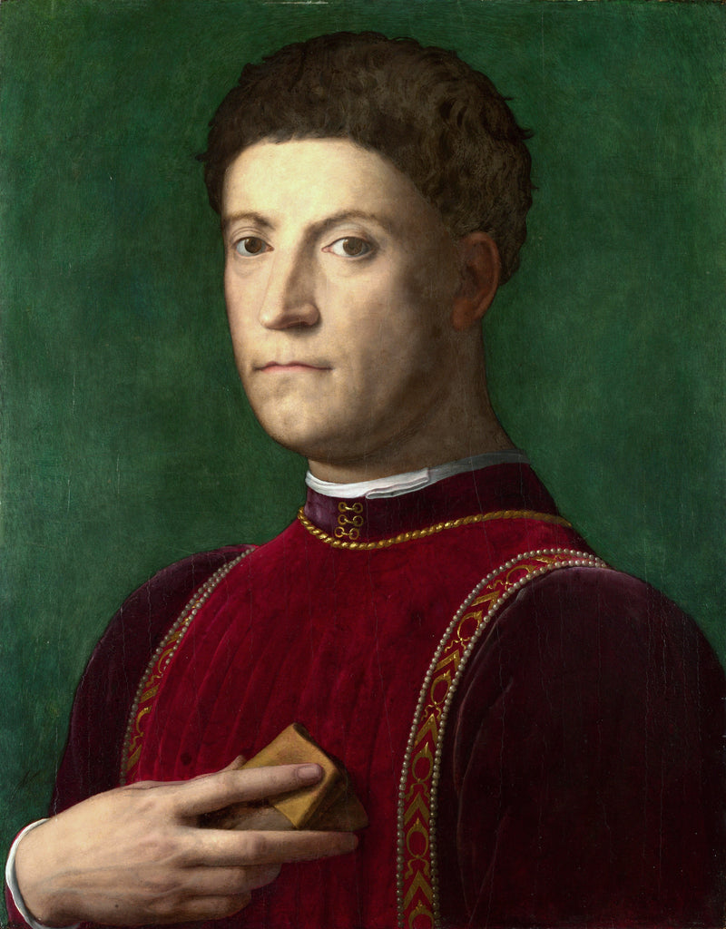Ritratto di Piero de' Medici - Bronzino