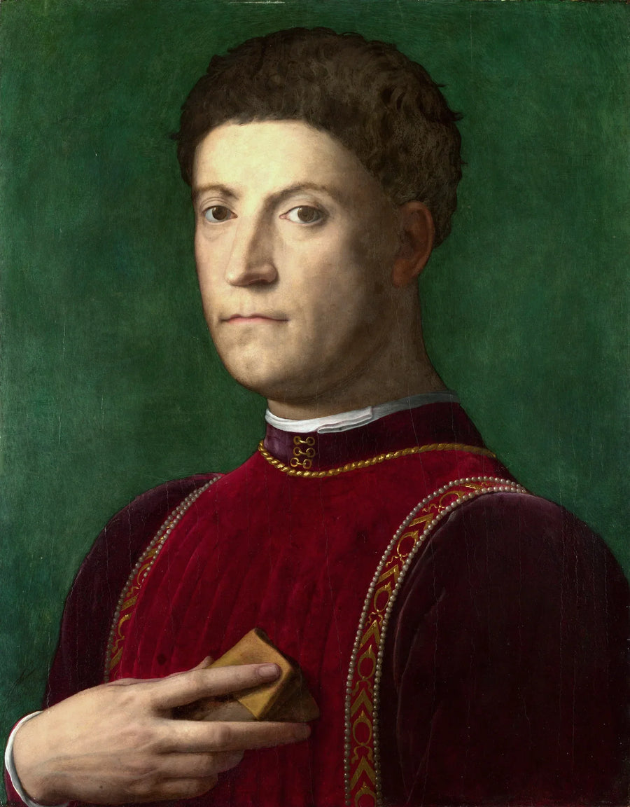 Ritratto di Piero de' Medici - Bronzino