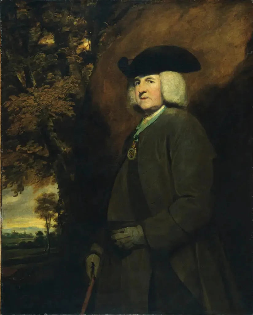Ritratto di Richard Robinson - Joshua Reynolds