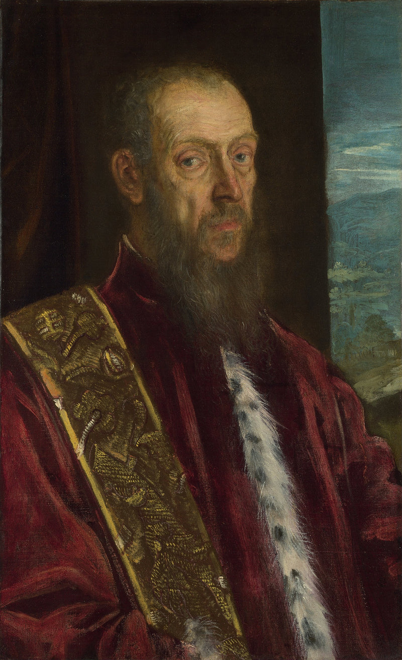 Ritratto di Vincenzo Morosini - Jacopo Tintoretto