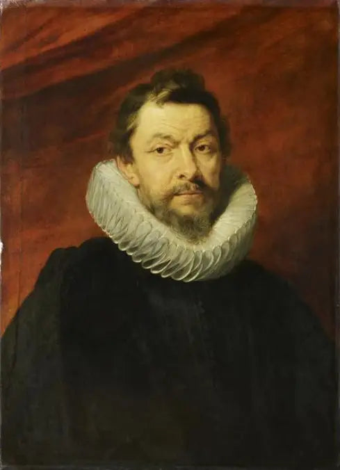 Ritratto del barone Henri de Vicq, ambasciatore dei Paesi Bassi alla corte di Francia - Peter Paul Rubens
