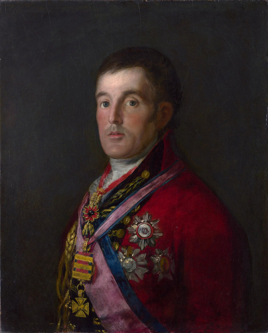 Ritratto del duca di Wellington - Francisco de Goya