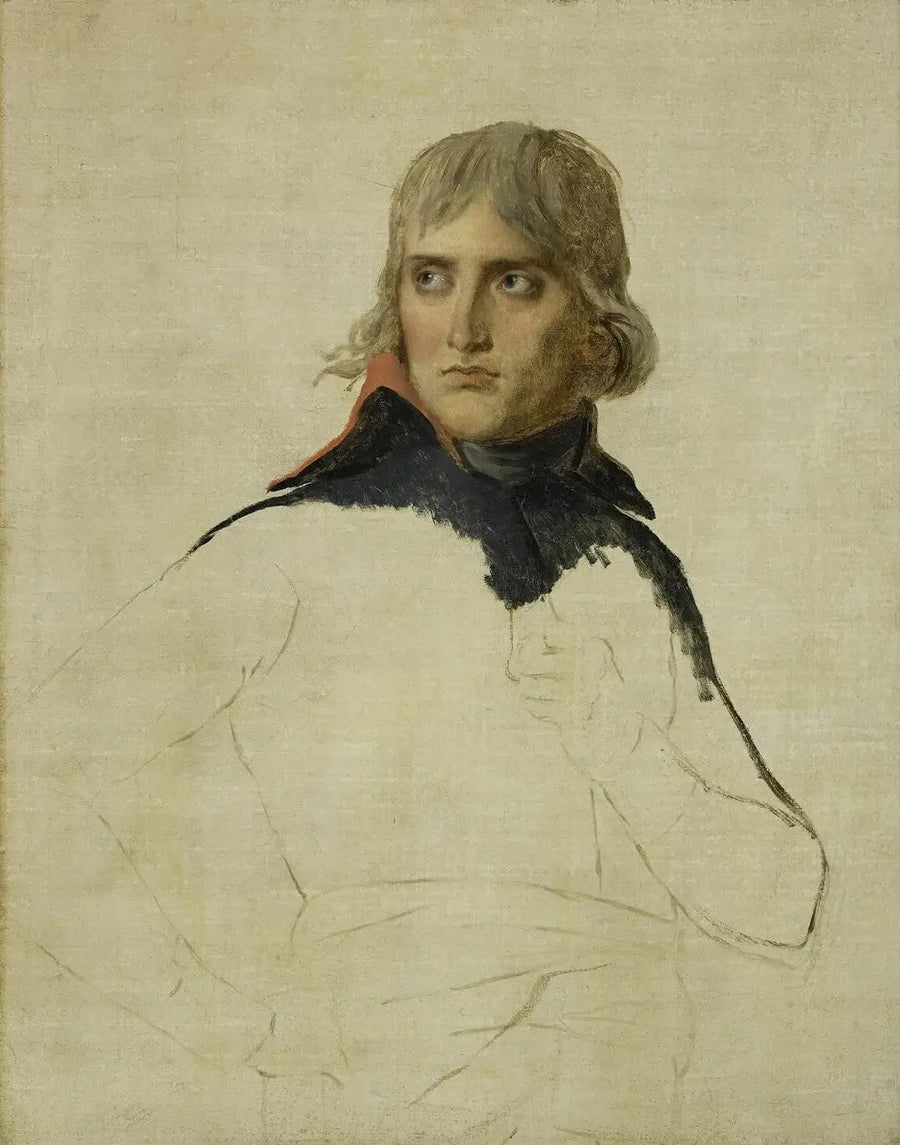 ritratto incompiuto di Bonaparte - Jacques-Louis David