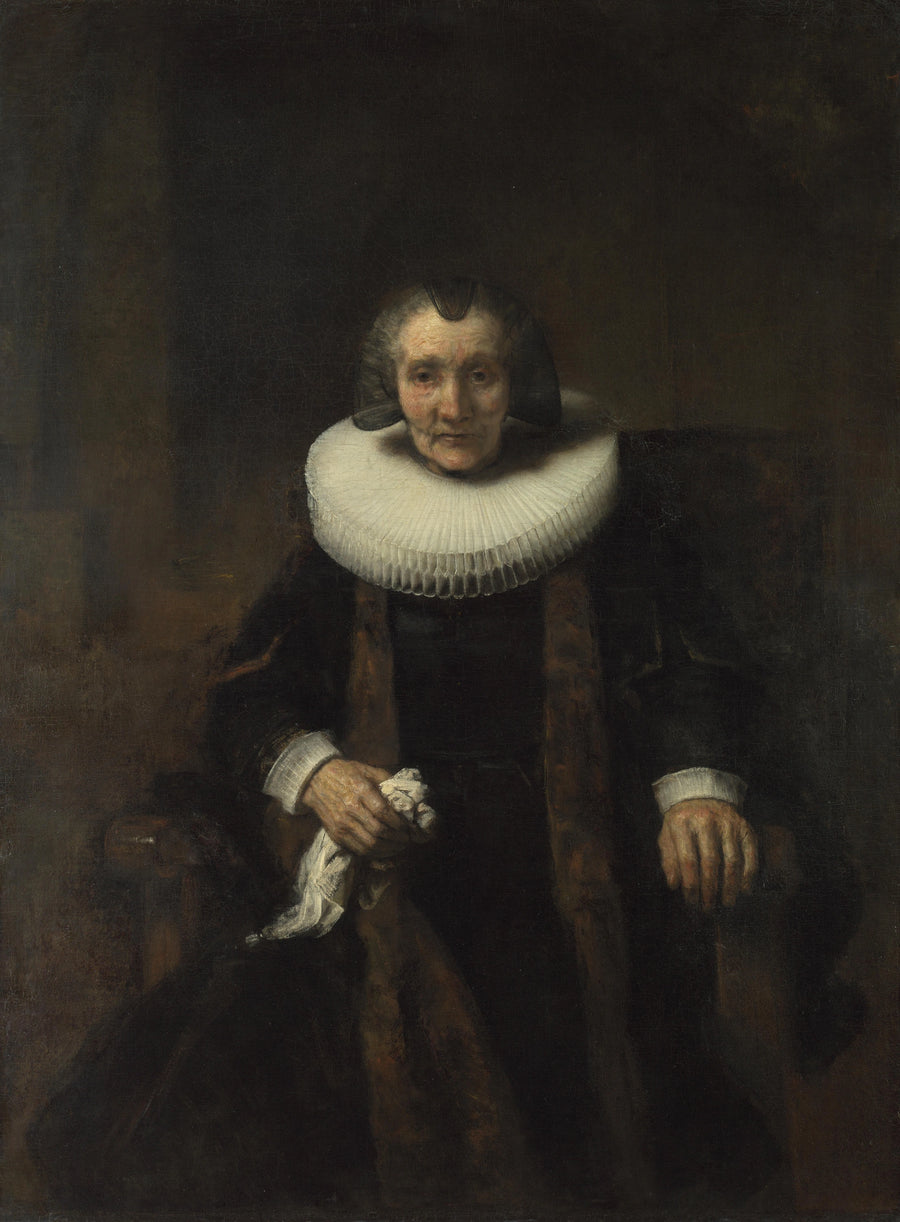 Ritratto di Margaretha de Geer - Rembrandt