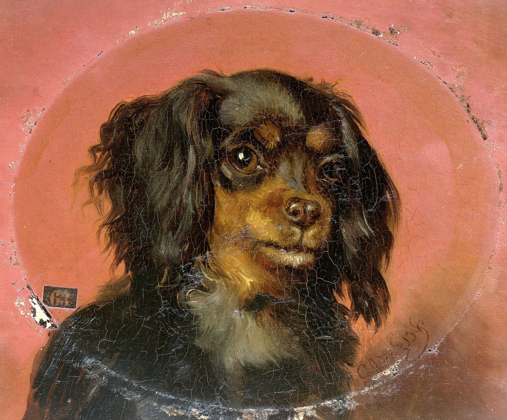 Portrait d'un petit chien - Guillaume Anne van der Brugghen