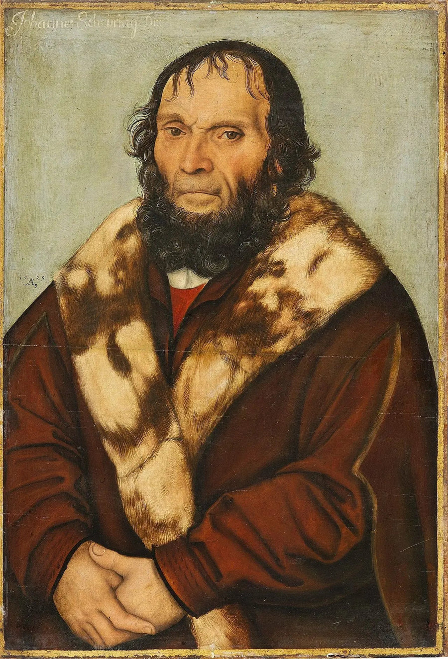 Ritratto postumo del Dott. J. Scheyring - Lucas Cranach il Vecchio