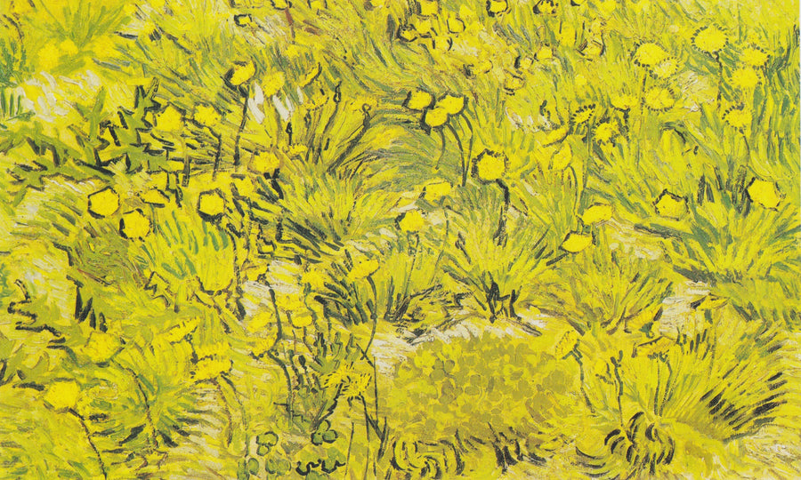Prateria con fiori gialli - Vincent van Gogh
