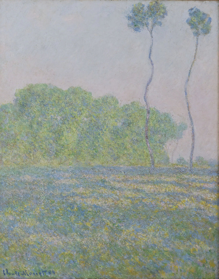 Prato a Giverny W1368 - Claude Monet
