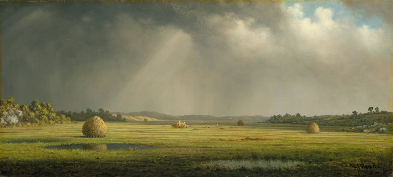 Praterie di Newburyport - Martin Johnson Heade