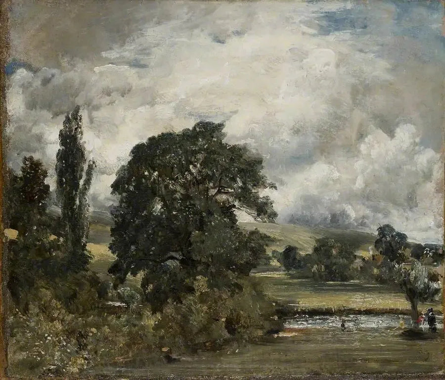 Praterie umide vicino a Salisbury - John Constable