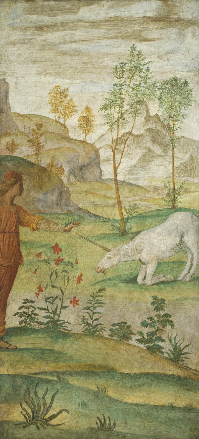 Procris e la Licorno - Bernardino Luini