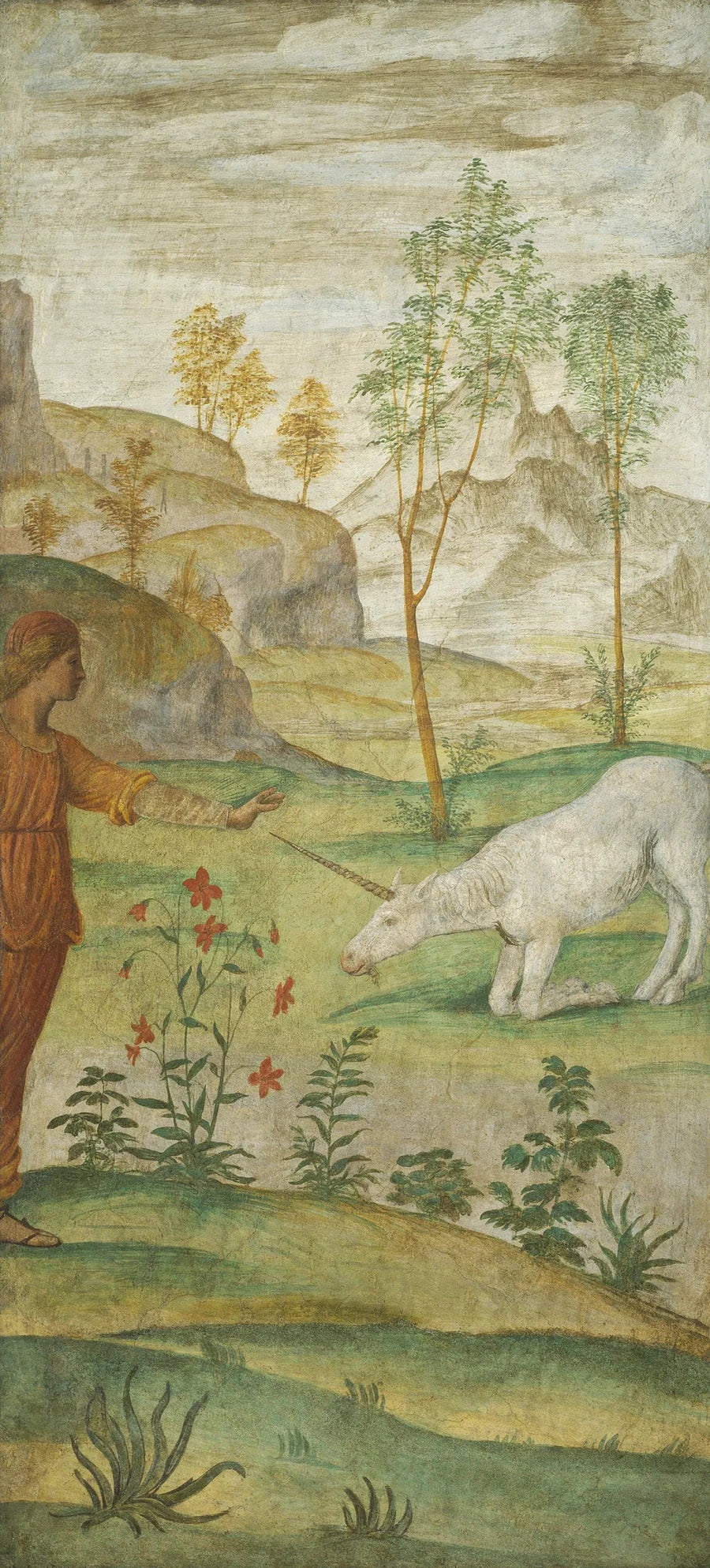 Procris e la Licorno - Bernardino Luini