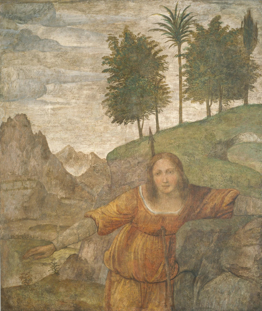 Procris trafitta dalla giavellotta di Cefalo - Bernardino Luini