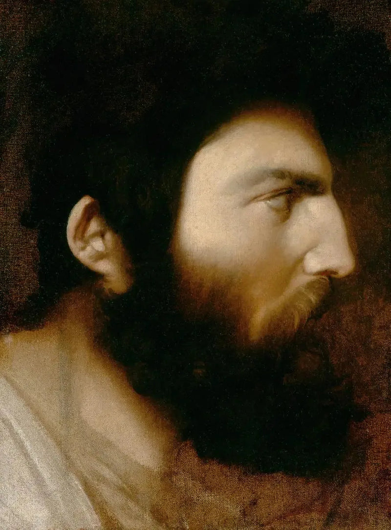 Profilo di uomo barbuto - Jean-Auguste-Dominique Ingres