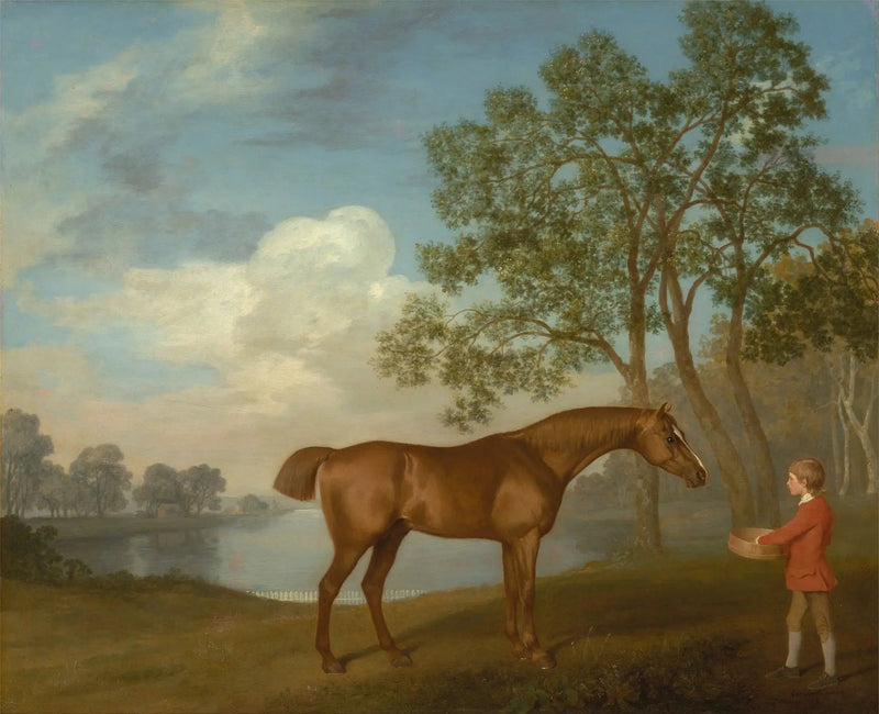 Zucca con un ragazzo di scuderia - George Stubbs