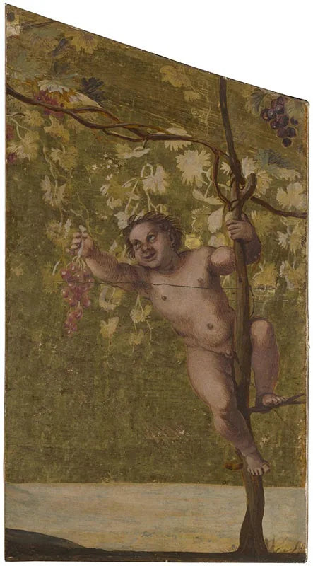 Putto che raccoglie uva - Annibale Carracci
