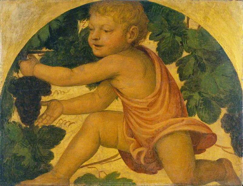 Putto che raccoglie uva - Bernardino Luini