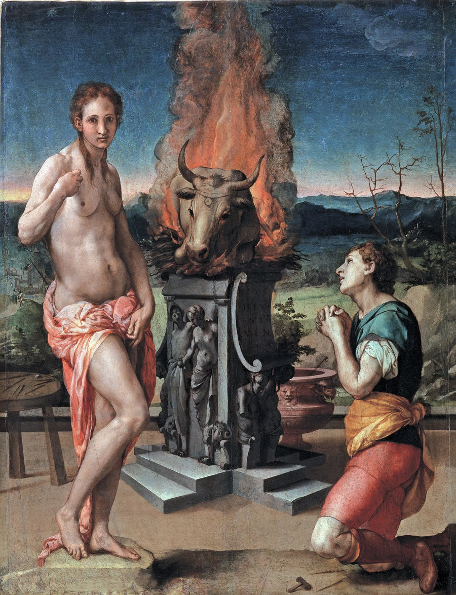 Pygmalion e Galatea - Bronzino