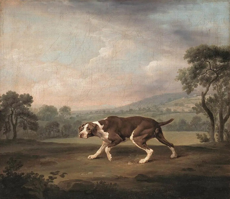 George Stubbs