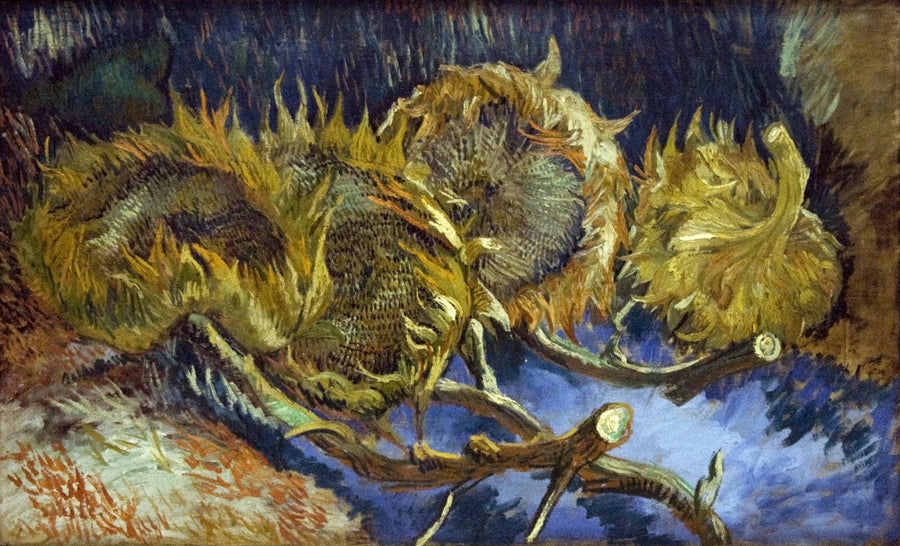 Quattro girasoli appassiti - Vincent van Gogh