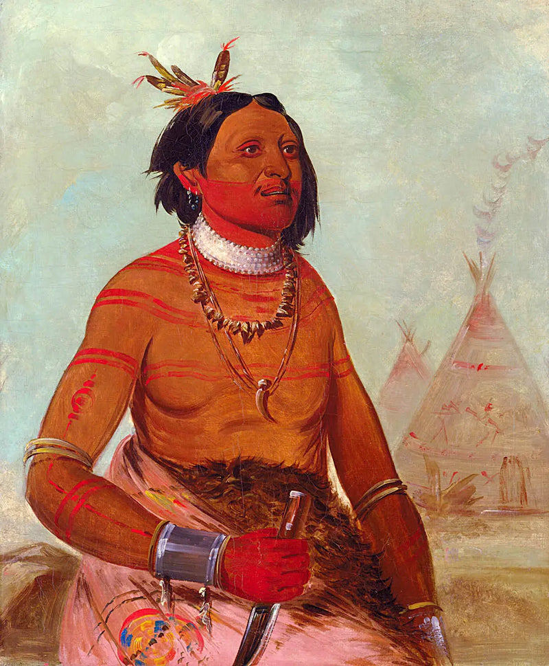 Quáy-hám-kay, Stone Shell, un coraggioso - George Catlin