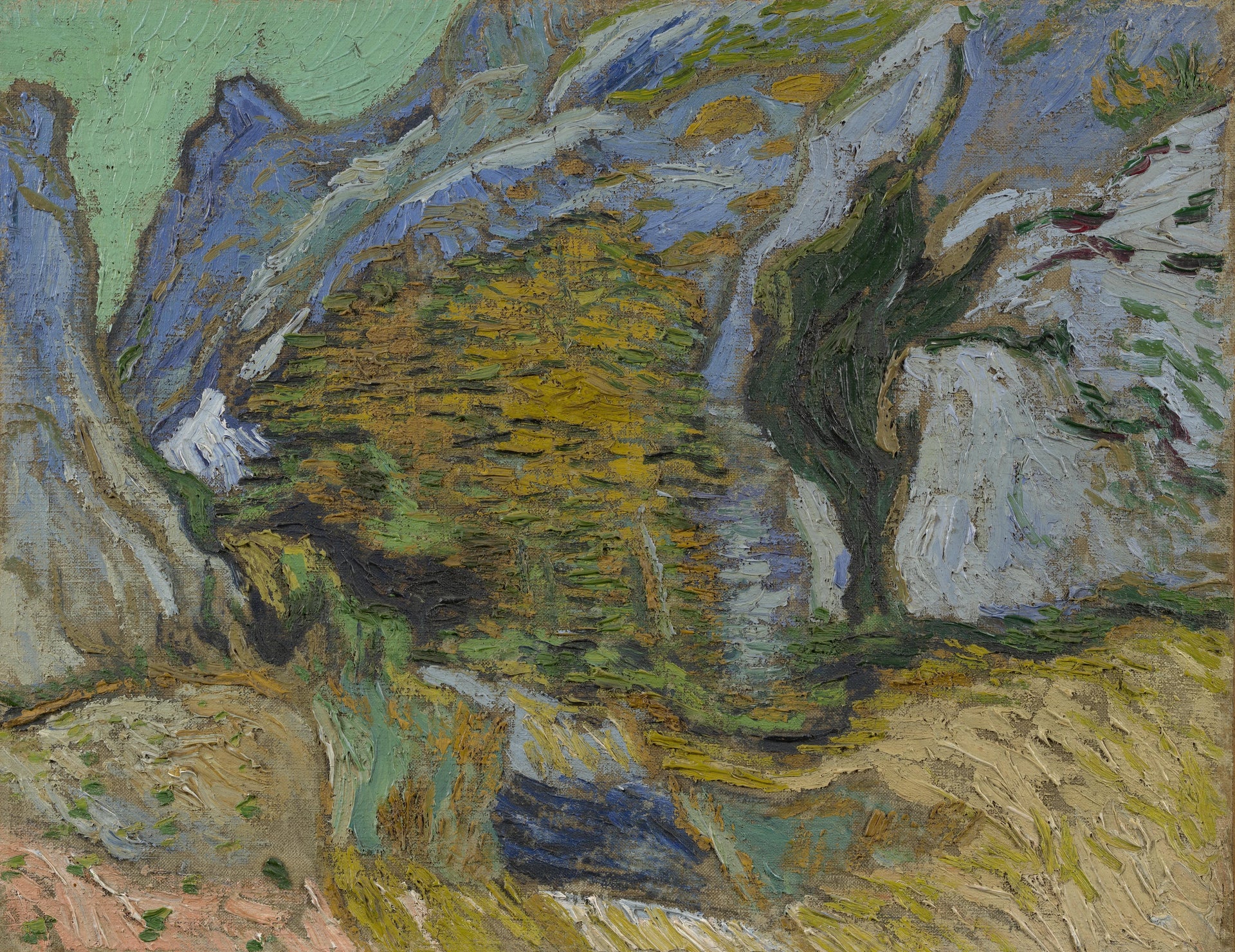 Ravin avec un petit ruisseau F645 de Vincent van Gogh, Van Gogh Museum