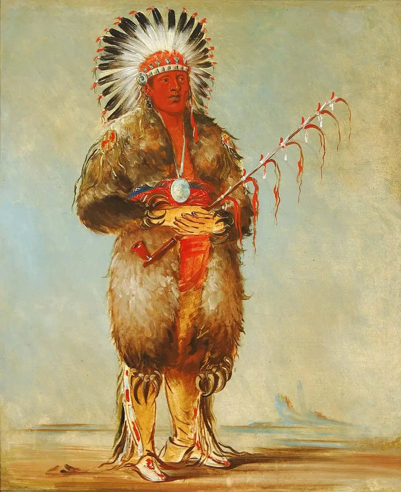 Ráw-no-way-wóh-krah, Loose Pipestem, un Coraggioso - George Catlin