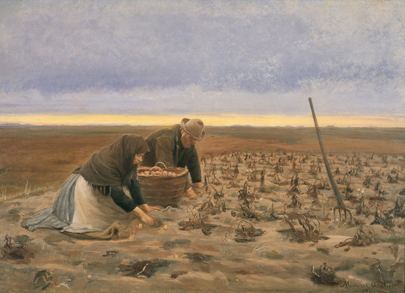 Raccolta delle patate - Michael Peter Ancher