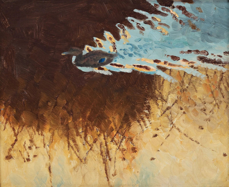 riflessi di anatre e acqua - Bruno Liljefors
