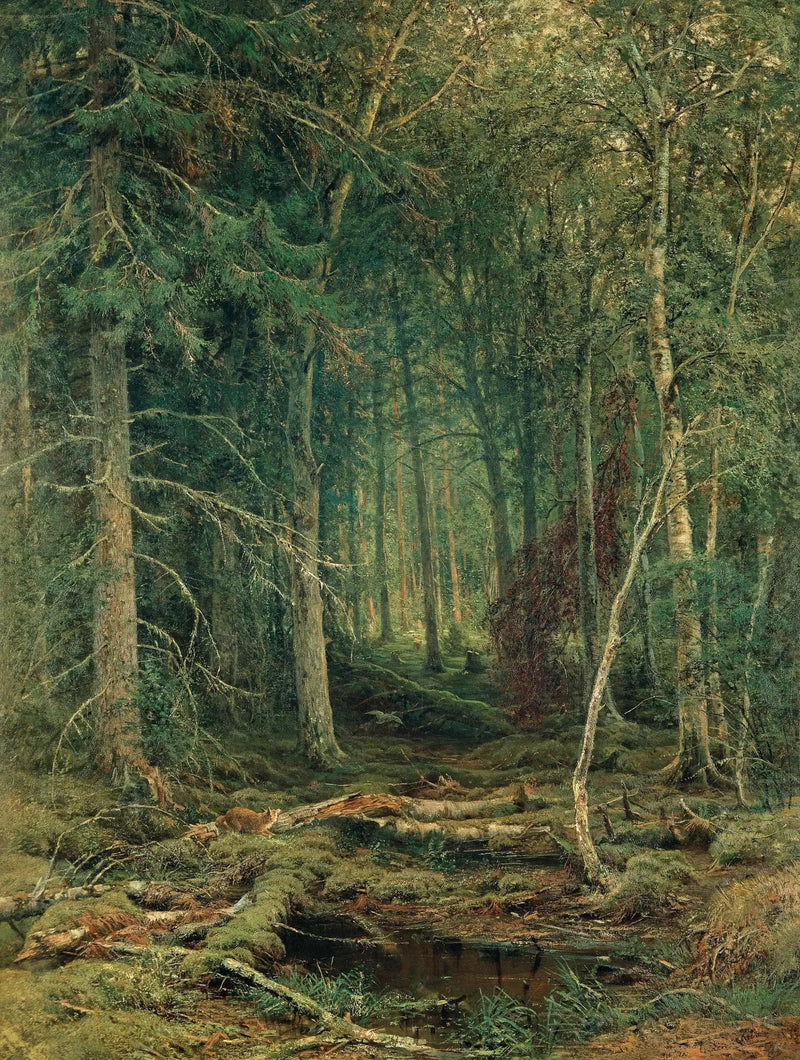 Regione forestale inexploitée - Ivan Chichkine