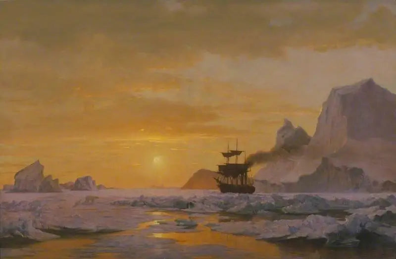 regioni artiche - William Bradford