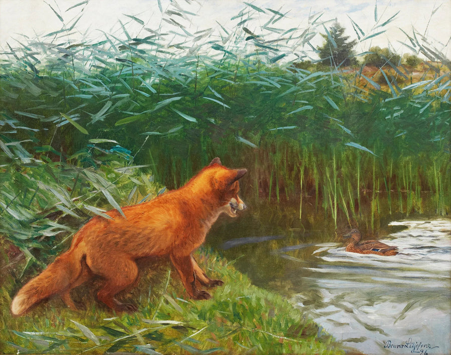 Volpe in agguato - Bruno Liljefors