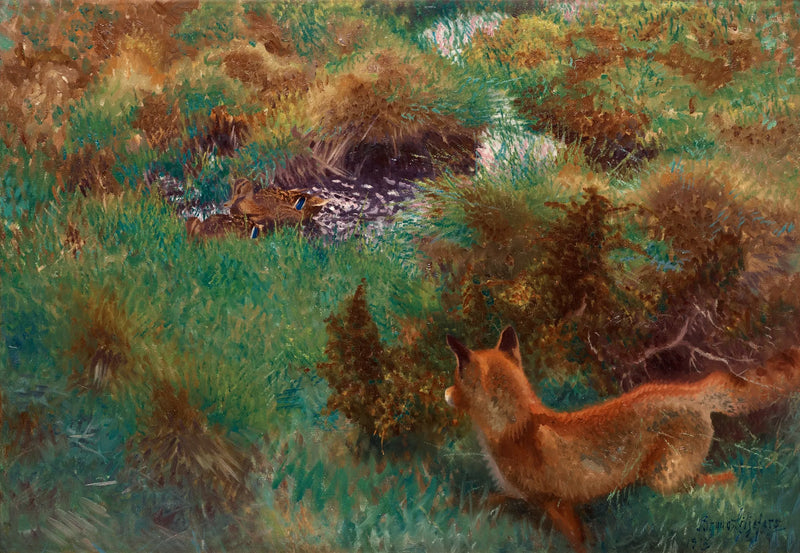 Volpe alla ricerca di anatre selvatiche - Bruno Liljefors