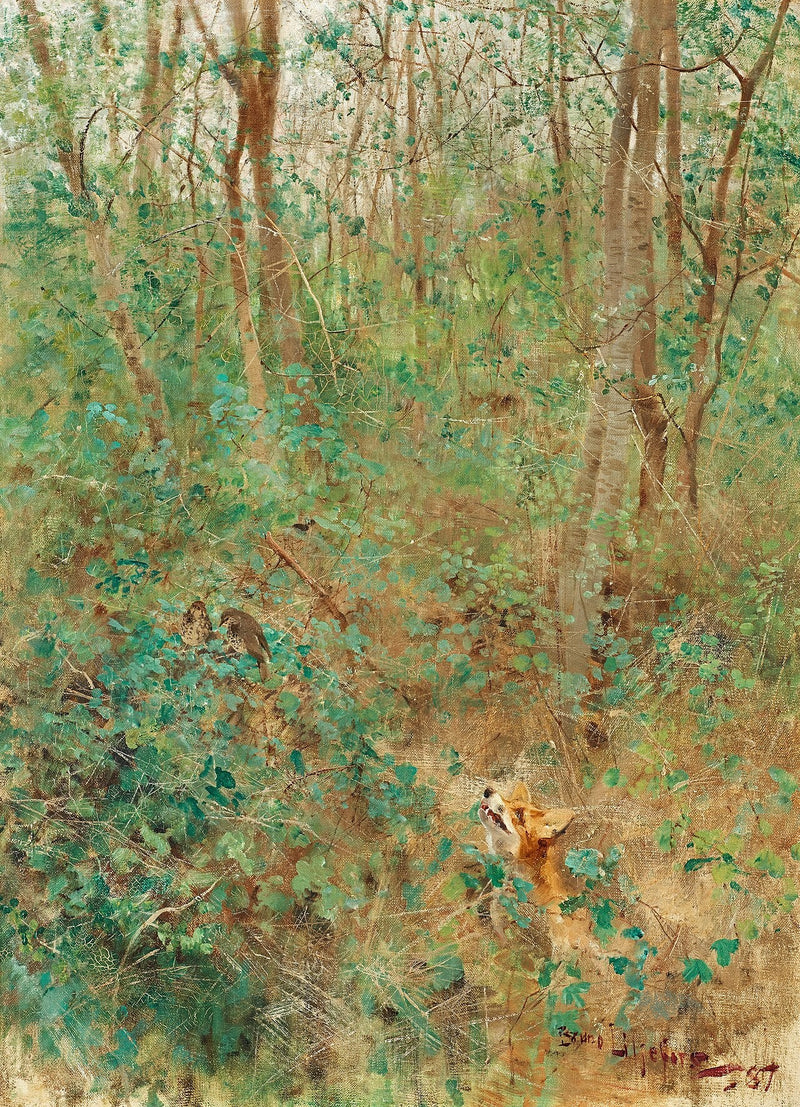 Volpe alla ricerca di tordi - Bruno Liljefors