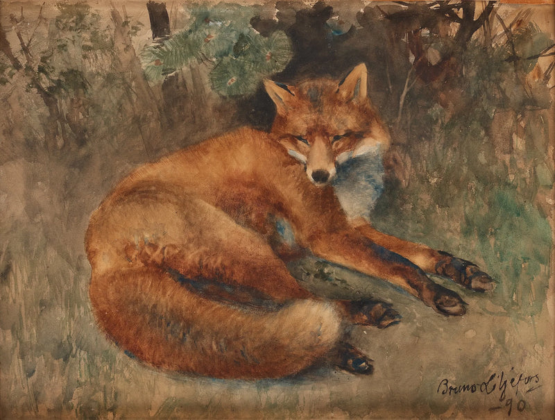 Volpe a riposo - Bruno Liljefors