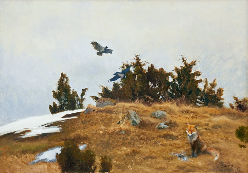 Volpe con la sua preda e corvi in ​​un paesaggio primaverile-invernale - Bruno Liljefors