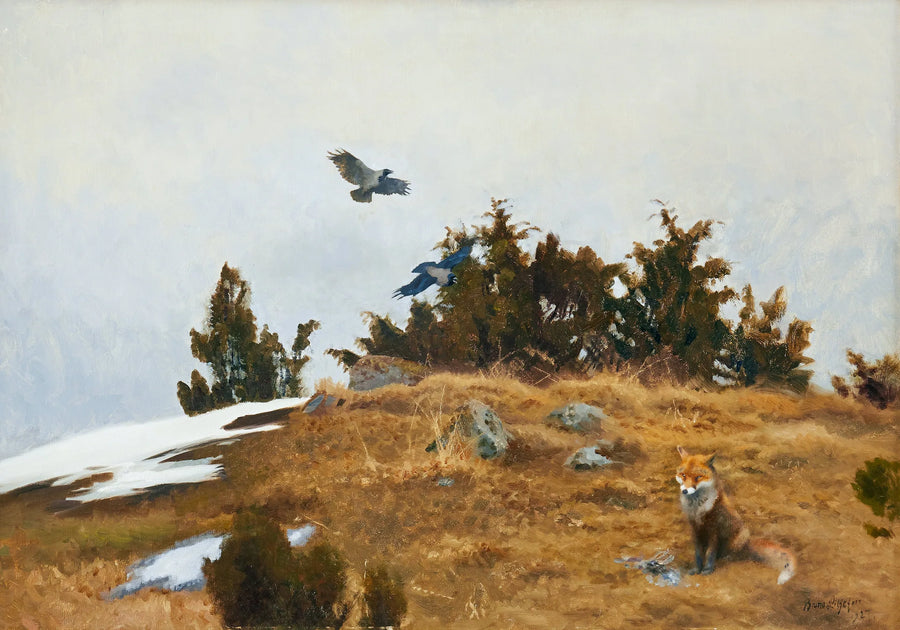 Volpe con la sua preda e corvi in ​​un paesaggio primaverile-invernale - Bruno Liljefors