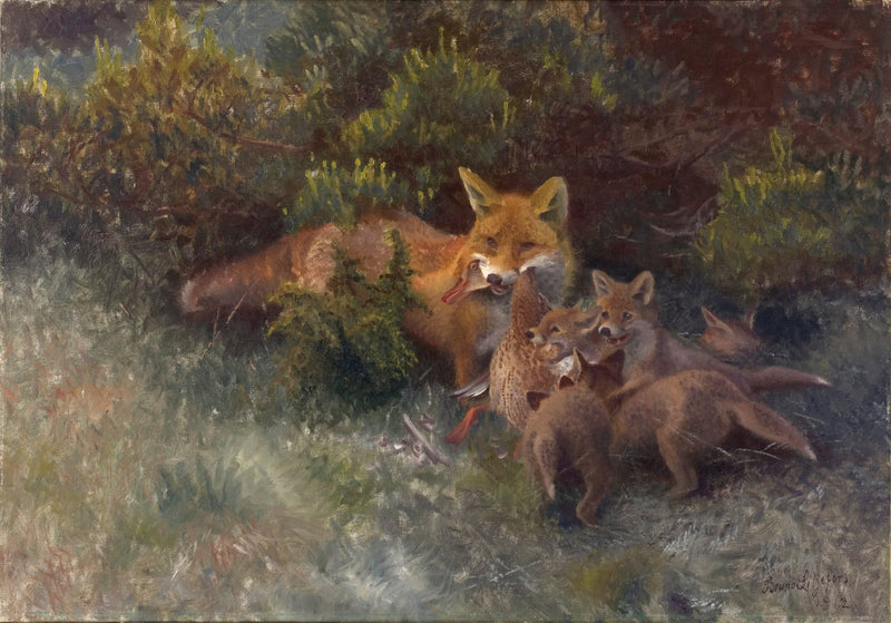 Volpe con i suoi cuccioli - Bruno Liljefors