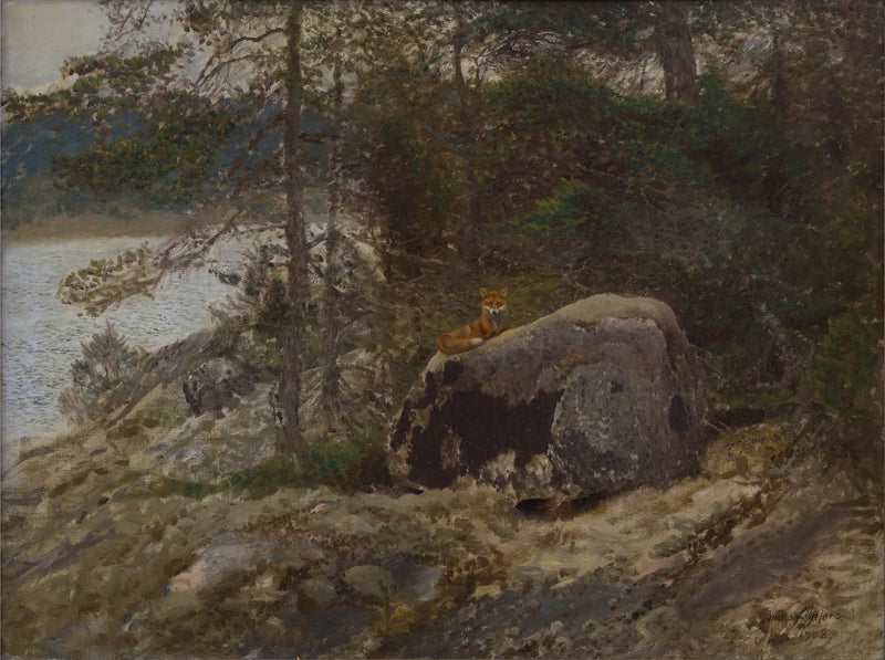 Volpe - Bruno Liljefors